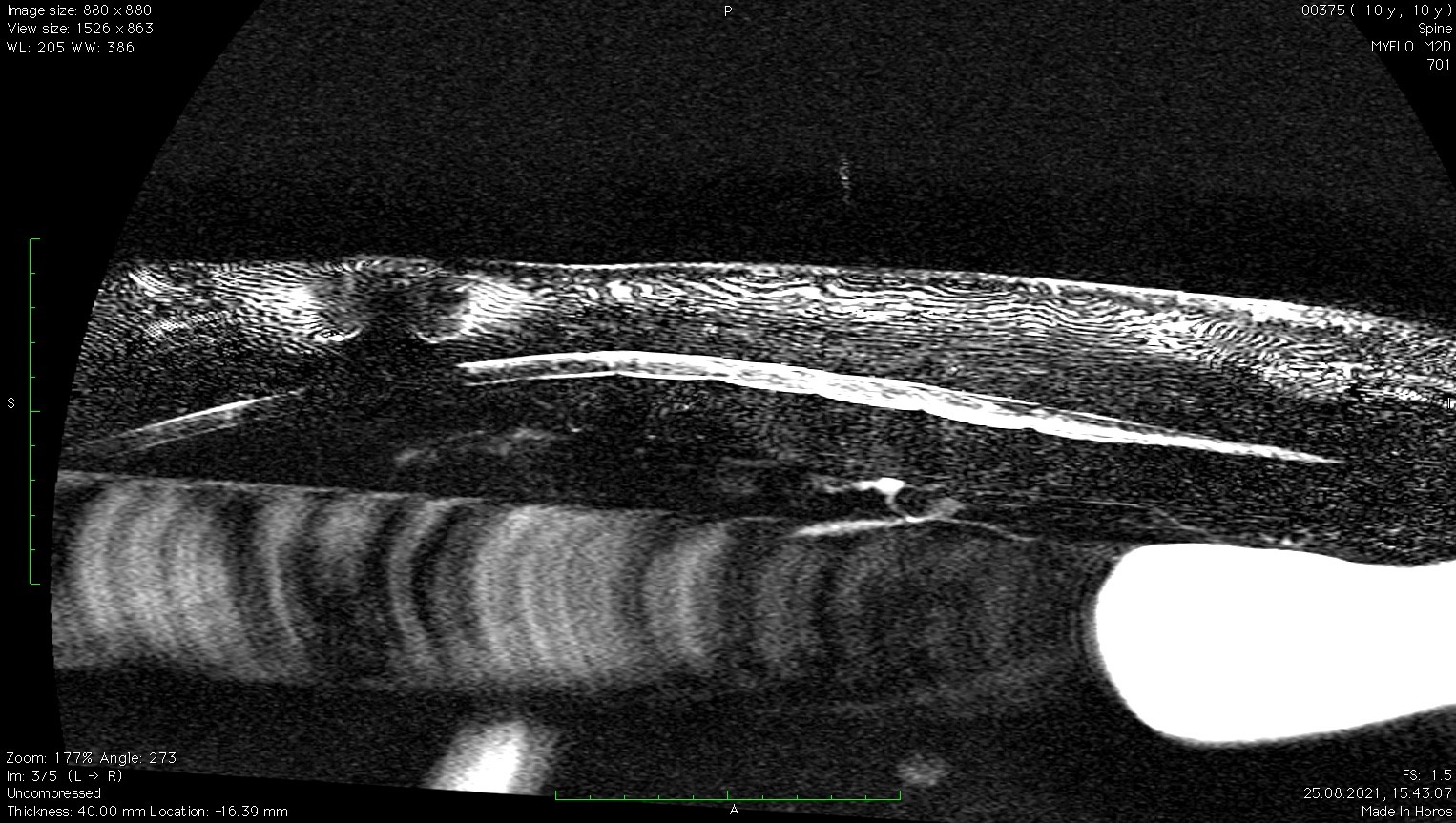 собака стала вялая рис. 4