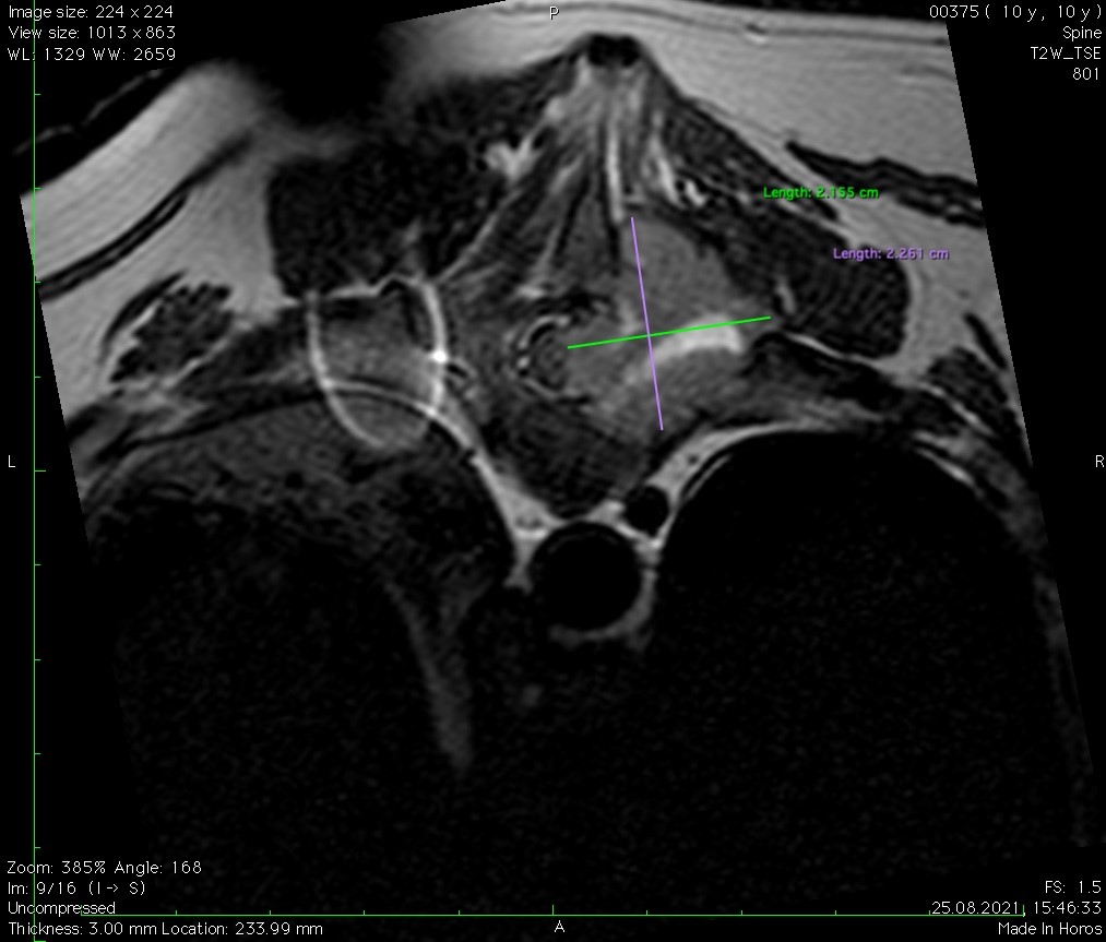собака стала вялая рис. 5